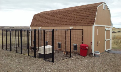Whelping shed sales